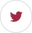 logo de twitter